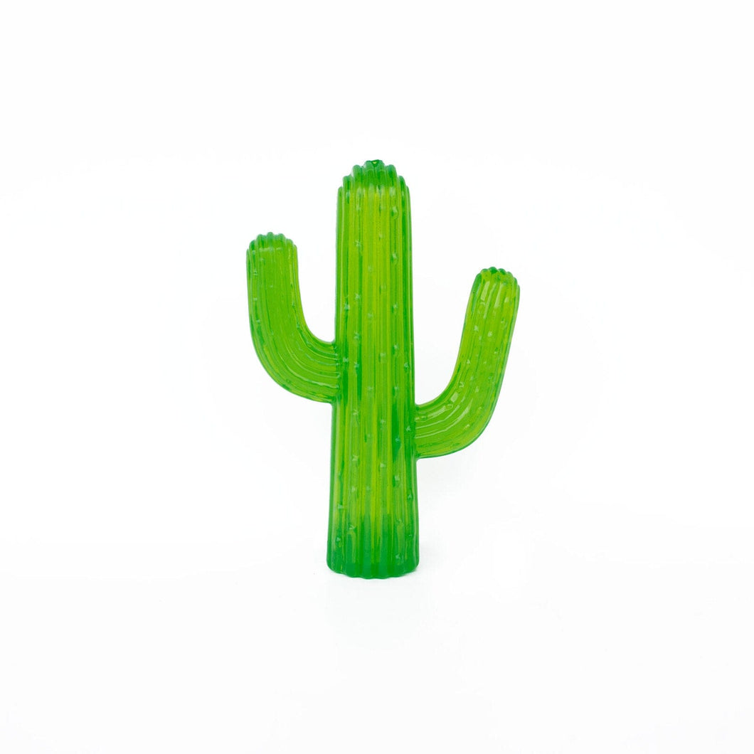 Plastic Teething Cactus Dog Toy