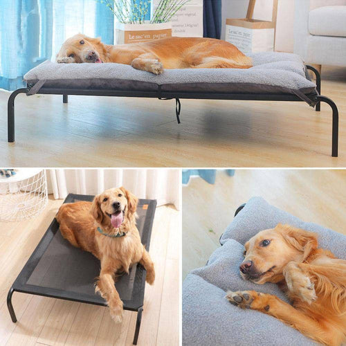 Plush Dog Bench