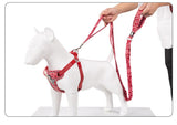 Small Multi Handle Harness - Poppy Red