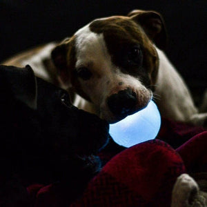 Tuff Flashing Strobe Ball Dog Toy - Glow in the Dark