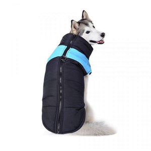 Waterproof Dog Jacket - Blue Large
